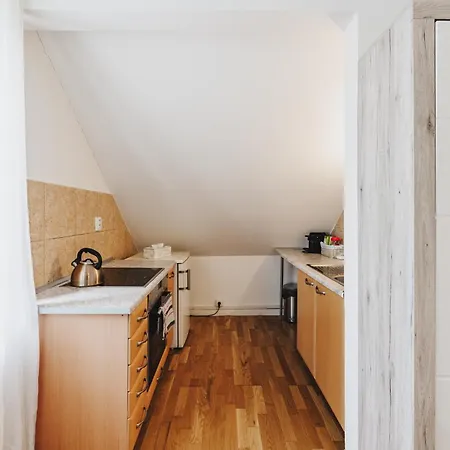 Ruzova 79 Apartament Tabor