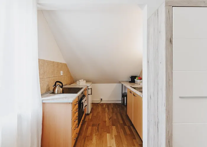 Ruzova 79 Apartament Tabor