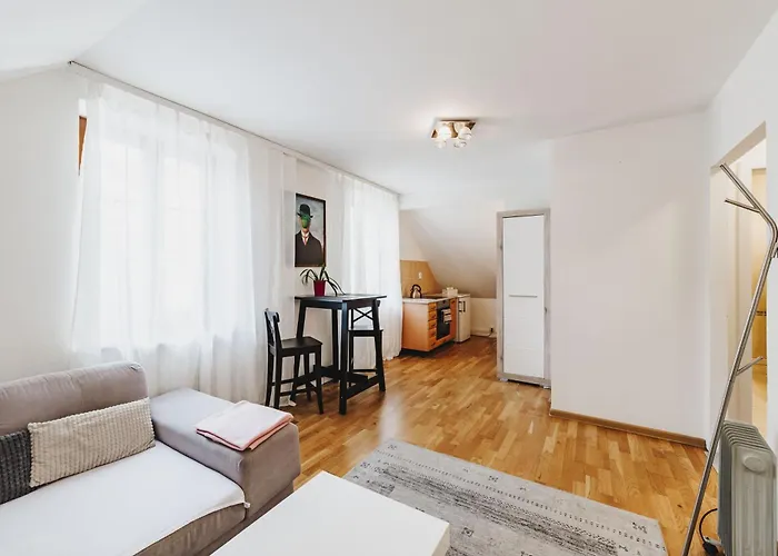 Ruzova 79 Apartament Tabor